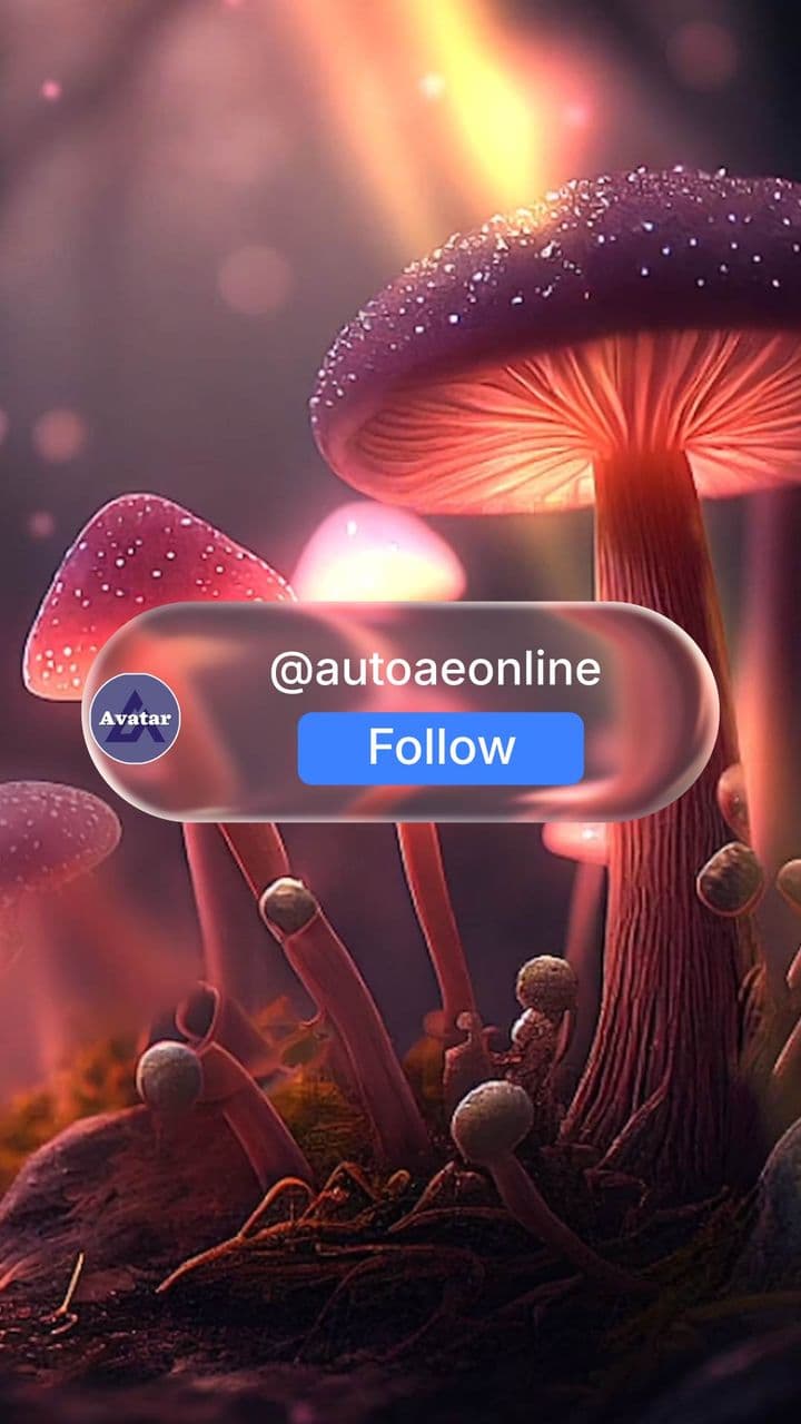 template Liquid Reveal Social Profile CTA preview